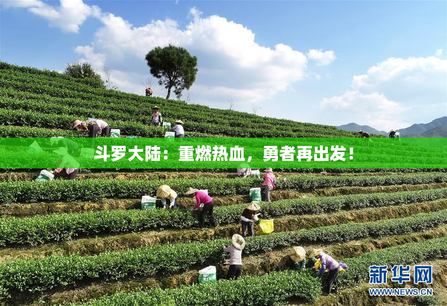 斗罗大陆：重燃热血，勇者再出发！