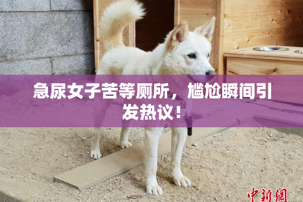 急尿女子苦等厕所，尴尬瞬间引发热议！