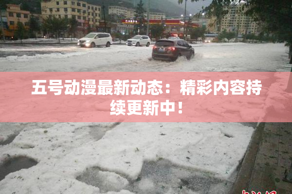 五号动漫最新动态：精彩内容持续更新中！