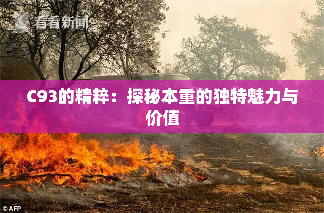 C93的精粹：探秘本重的独特魅力与价值