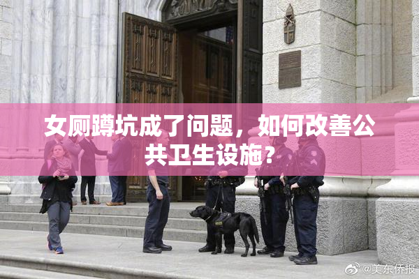 女厕蹲坑成了问题，如何改善公共卫生设施？