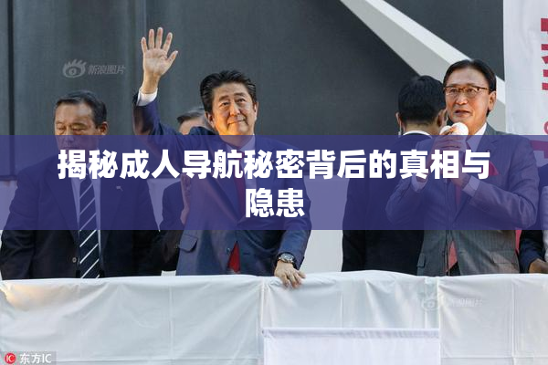 揭秘成人导航秘密背后的真相与隐患