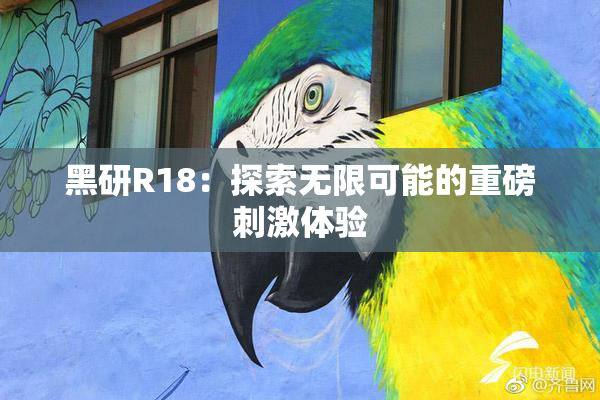 黑研R18：探索无限可能的重磅刺激体验