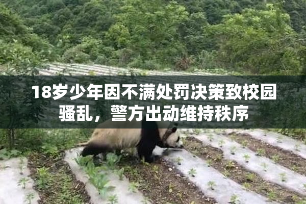 18岁少年因不满处罚决策致校园骚乱，警方出动维持秩序