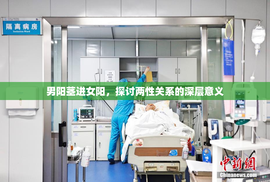 男阳茎进女阳，探讨两性关系的深层意义