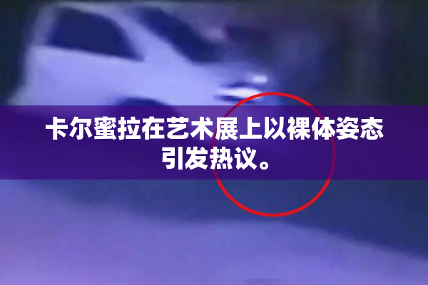卡尔蜜拉在艺术展上以裸体姿态引发热议。