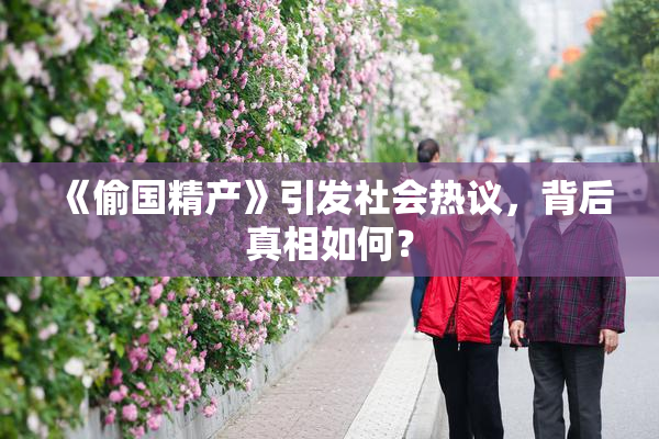 《偷国精产》引发社会热议，背后真相如何？