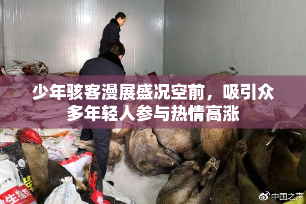 少年骇客漫展盛况空前，吸引众多年轻人参与热情高涨