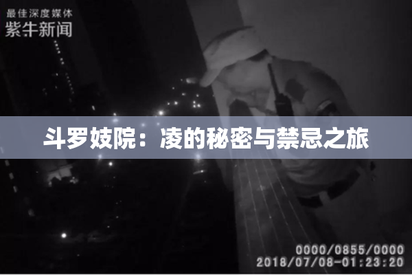 斗罗妓院：凌的秘密与禁忌之旅