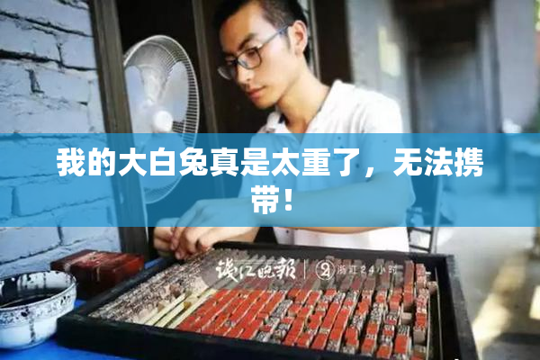 我的大白兔真是太重了，无法携带！