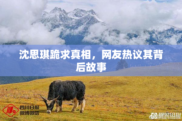 沈思琪跪求真相，网友热议其背后故事