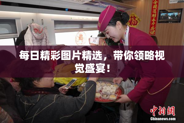 每日精彩图片精选，带你领略视觉盛宴！