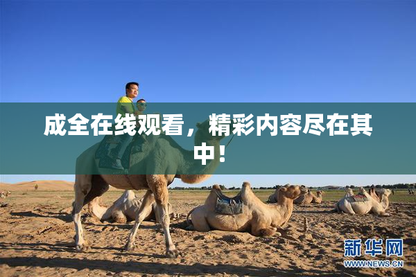 成全在线观看，精彩内容尽在其中！