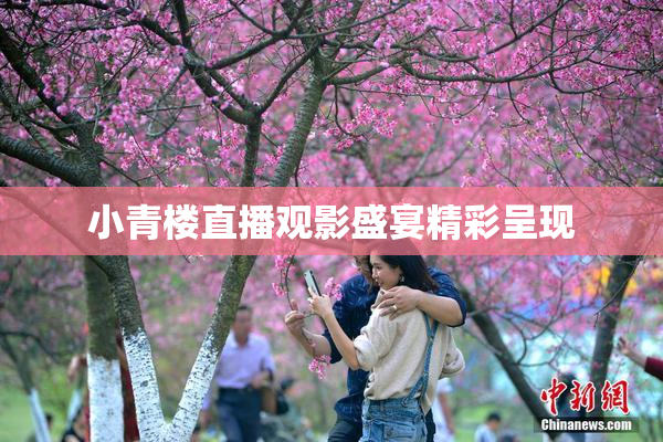 小青楼直播观影盛宴精彩呈现
