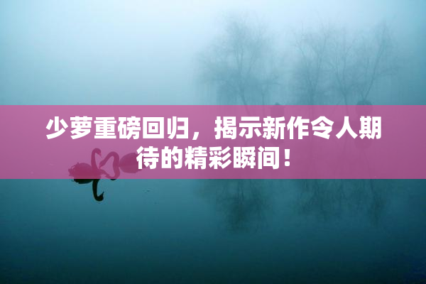 少萝重磅回归，揭示新作令人期待的精彩瞬间！