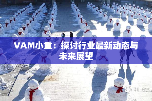 VAM小重：探讨行业最新动态与未来展望