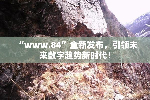 “www.84”全新发布，引领未来数字趋势新时代！
