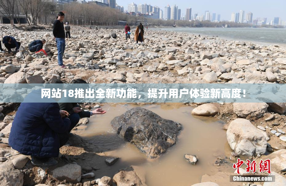 网站18推出全新功能，提升用户体验新高度！