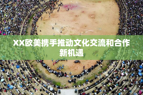 XX欧美携手推动文化交流和合作新机遇
