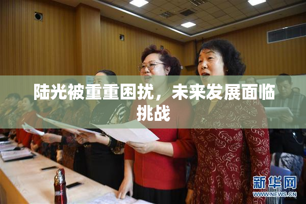 陆光被重重困扰，未来发展面临挑战