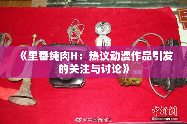《里番纯肉H：热议动漫作品引发的关注与讨论》