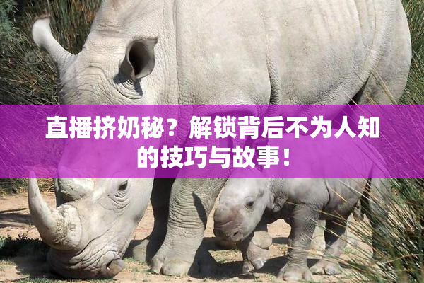 直播挤奶秘？解锁背后不为人知的技巧与故事！