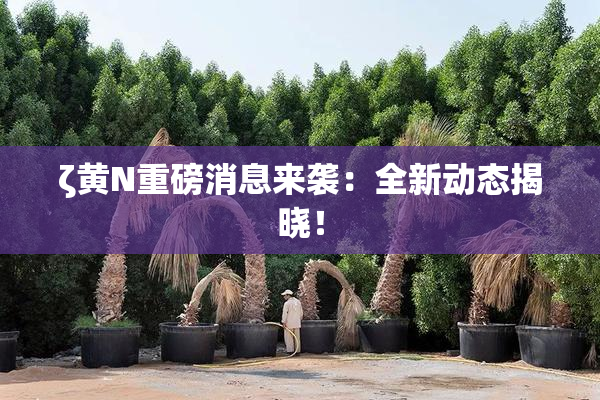 ζ黄Ν重磅消息来袭：全新动态揭晓！