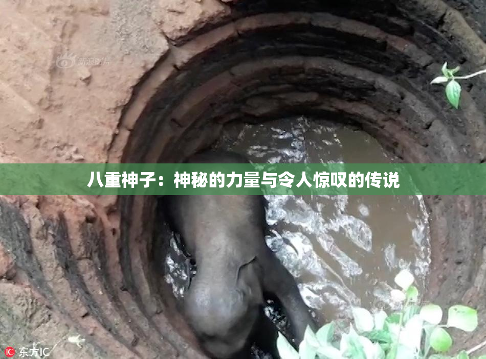八重神子：神秘的力量与令人惊叹的传说