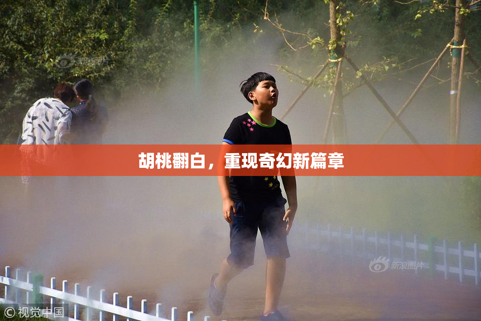 胡桃翻白，重现奇幻新篇章
