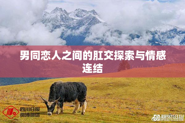 男同恋人之间的肛交探索与情感连结