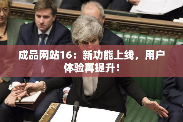成品网站16：新功能上线，用户体验再提升！