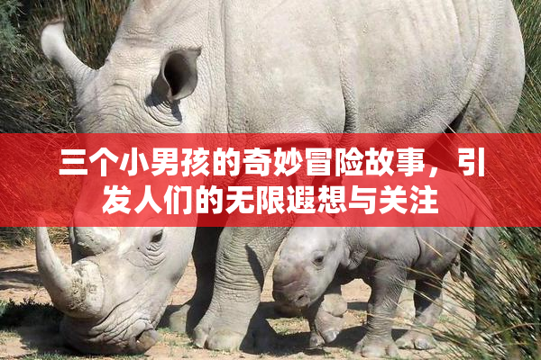 三个小男孩的奇妙冒险故事，引发人们的无限遐想与关注