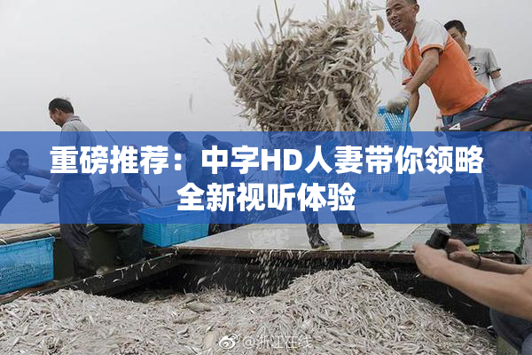 重磅推荐：中字HD人妻带你领略全新视听体验