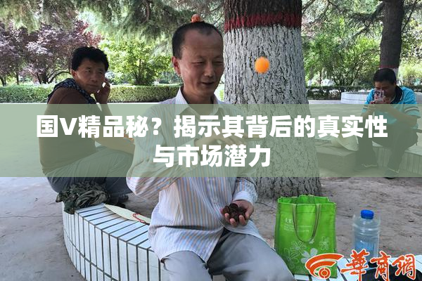 国V精品秘？揭示其背后的真实性与市场潜力