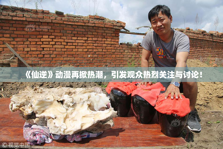 《仙逆》动漫再掀热潮，引发观众热烈关注与讨论！