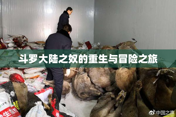 斗罗大陆之奴的重生与冒险之旅