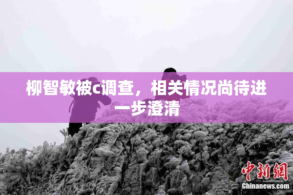 柳智敏被c调查，相关情况尚待进一步澄清