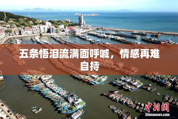 五条悟泪流满面呼喊，情感再难自持