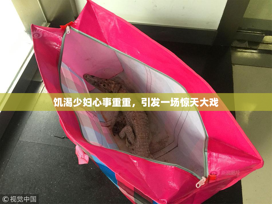饥渴少妇心事重重，引发一场惊天大戏