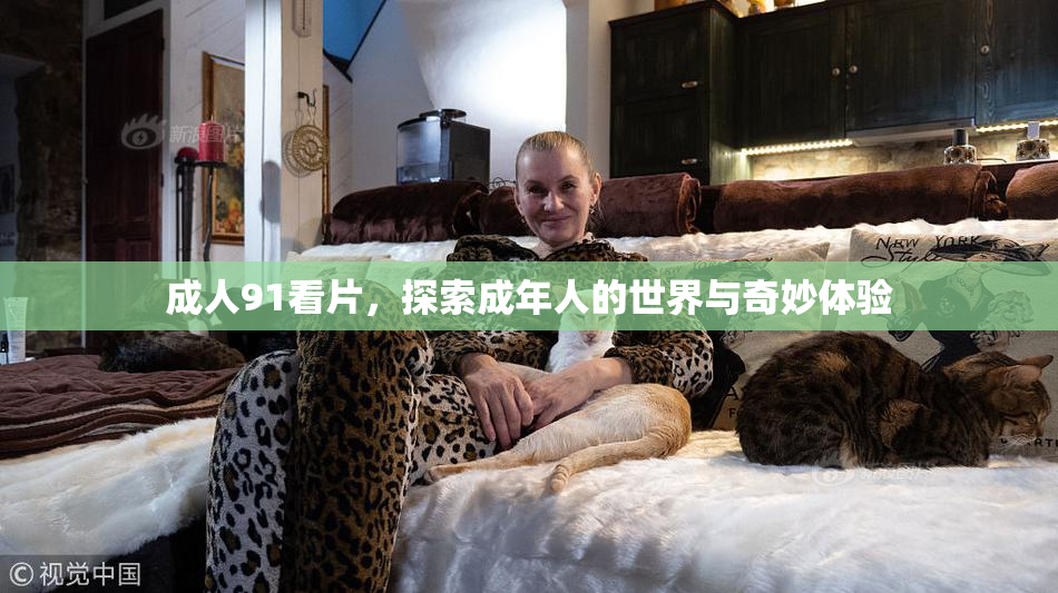 成人91看片，探索成年人的世界与奇妙体验