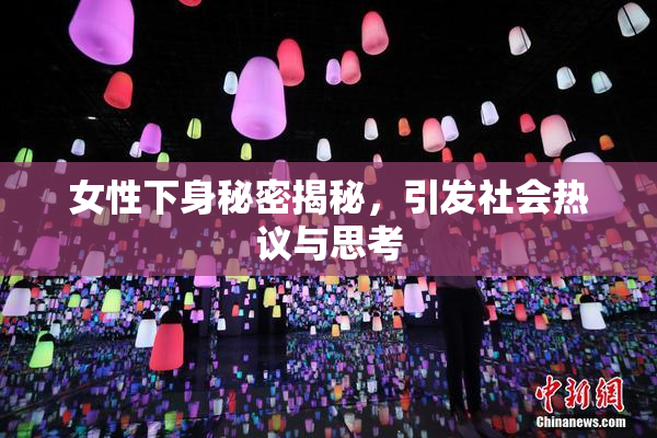 女性下身秘密揭秘，引发社会热议与思考