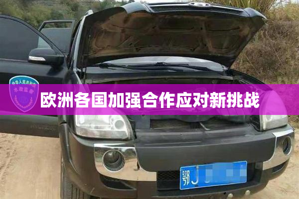 欧洲各国加强合作应对新挑战