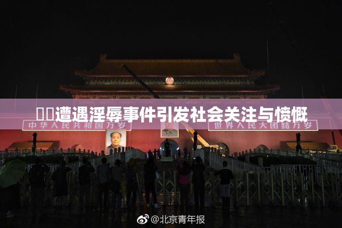 妺妺遭遇淫辱事件引发社会关注与愤慨