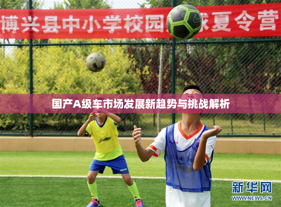 国产A级车市场发展新趋势与挑战解析