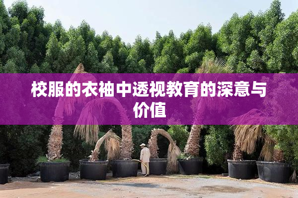 校服的衣袖中透视教育的深意与价值