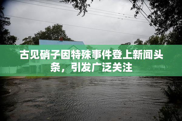 古见硝子因特殊事件登上新闻头条，引发广泛关注
