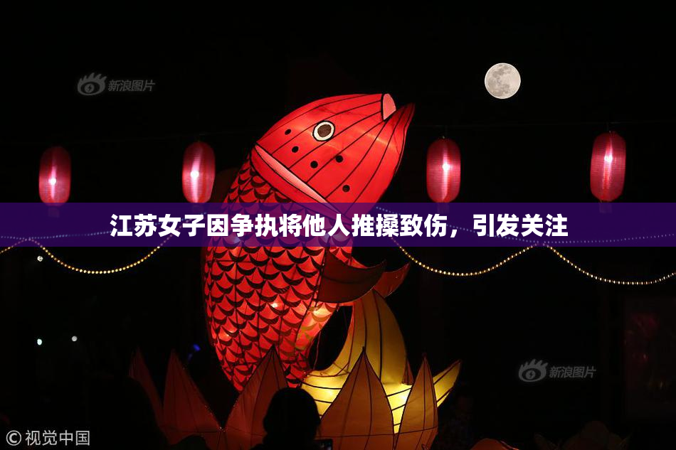江苏女子因争执将他人推搡致伤，引发关注