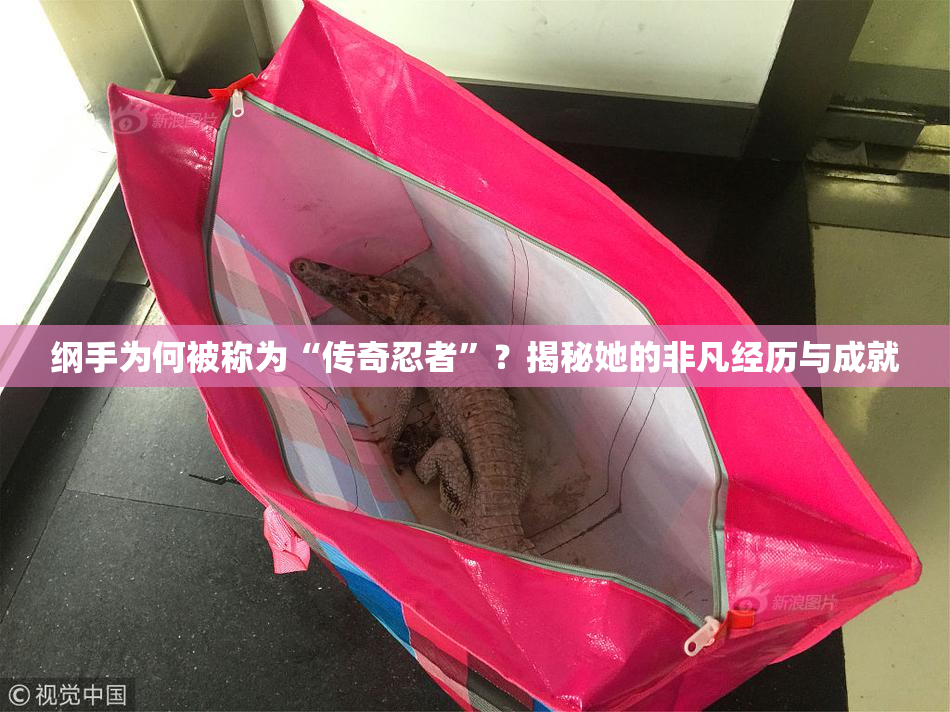 纲手为何被称为“传奇忍者”？揭秘她的非凡经历与成就