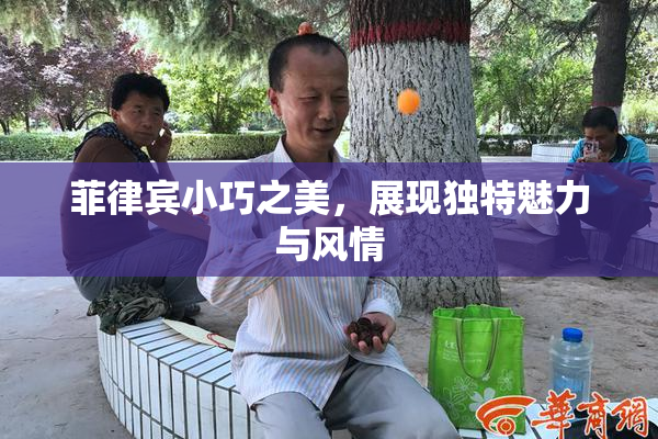 菲律宾小巧之美，展现独特魅力与风情