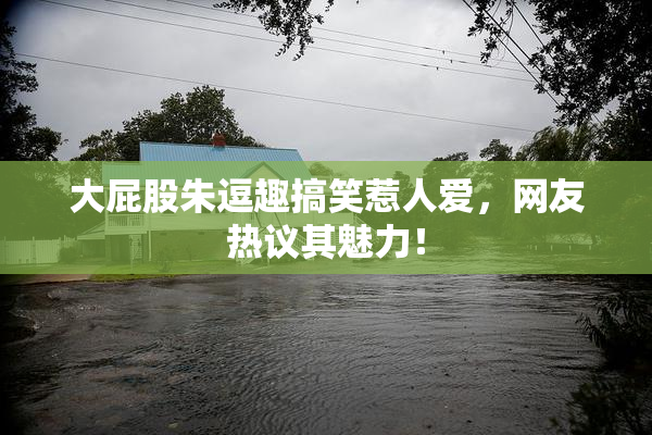 大屁股朱逗趣搞笑惹人爱，网友热议其魅力！